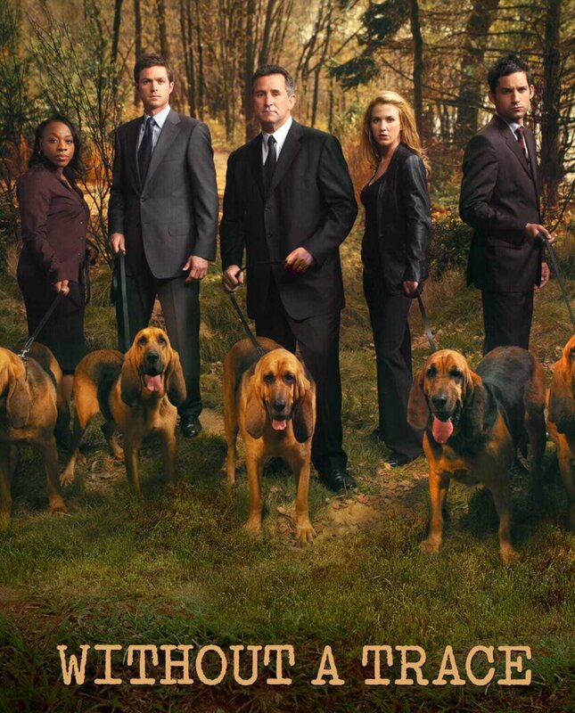 Without a Trace – Spurlos verschwunden – Artwork – Bild: VOXup