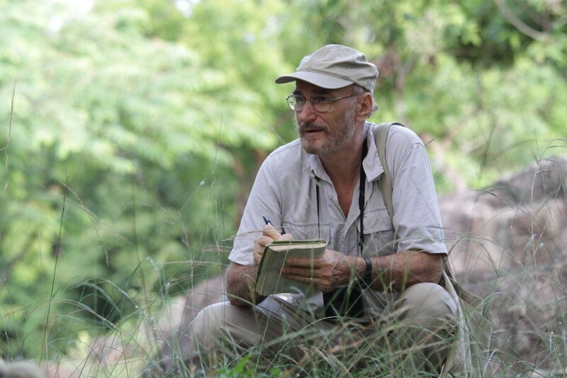 Ein Leben unter Affen – Bild: RTL /​ © Terra Mater SNI/​SI Networks L.L.C. /​ Victoria Buckley