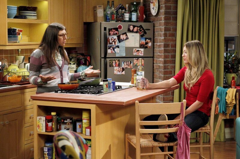 The Big Bang Theory (TBBT) Staffel 5 Episodenguide – fernsehserien.de