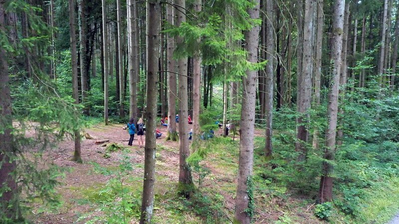 „Kurs Waldbaden“ in der Waldschule Bodensee. – Bild: ORF/​ORF-Vorarlberg