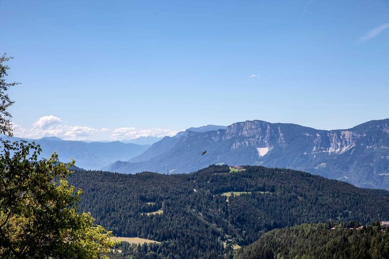 Ausblick vom Gasthof Waldbichl, Tschoegglberg in Südtirol. – Bild: ServusTV /​ DMG-Film /​ ServusTV /​ DMG-Film /​ ServusTV /​ DMG-Film