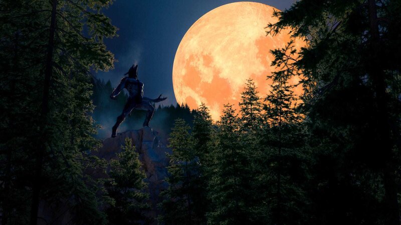 3D Illustration eines Werwolfs auf Halloween Hintergrund – Bild: Shutterstock /​ Shutterstock /​ Copyright (c) 2020 DanieleGay/​Shutterstock. No use without permission.