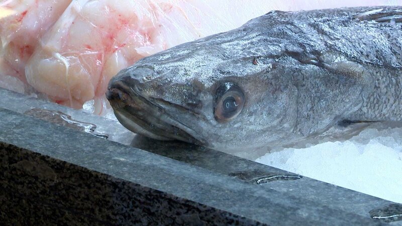 Fisch. – Bild: ORF/Bernhard Werany Fisch. – Bild: ORF/Bernhard Werany