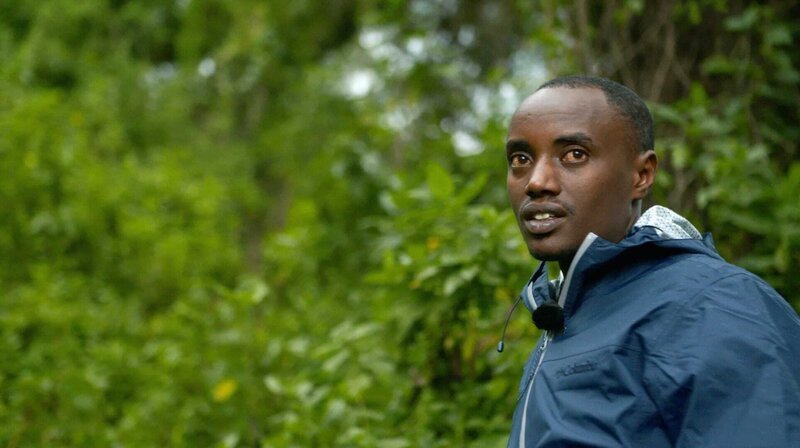 Tierarzt Dr Gaspard Nzayisenga in Ruanda – Bild: phoenix/​MDR/​IN ONE MEDIA