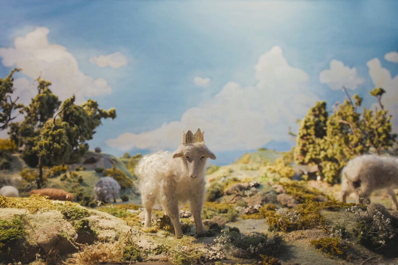 Louis I., König der Schafe – Bild: SRF1