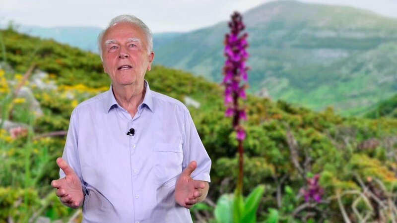 . – Bild: Bibel TV