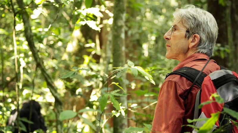 Ngogo - Königreich der Affen – Bild: Warner Bros. Discovery