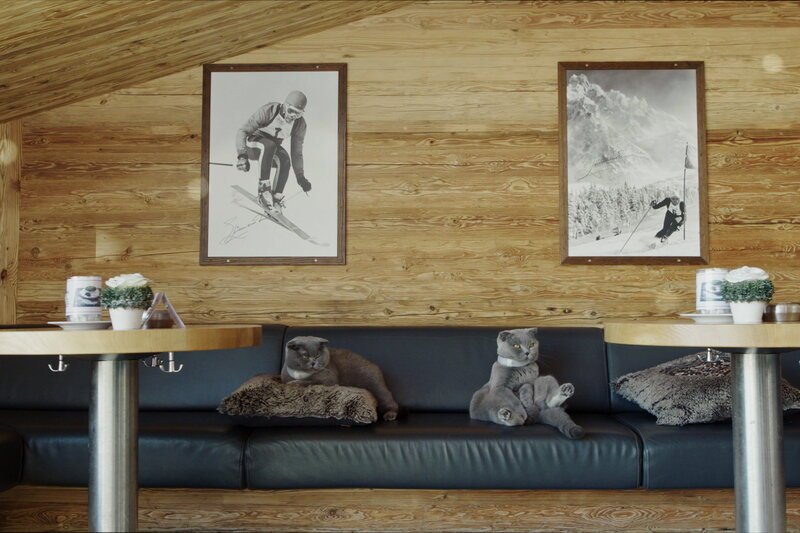 Nachts sind alle Katzen grau Mit den Katzen im Restaurant SRF/​Hochschule Luzern Design& Kunst – Bild: SRF1