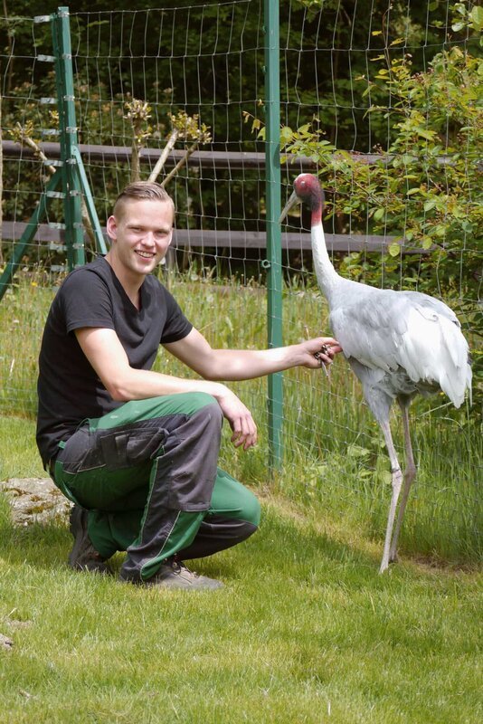 Tierpfleger Florian Rimpler, aus dem Kronberger Opel-Zoo. – Bild: HR/​Antje Mergel