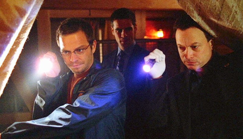 Von links: Im Garten des Erschossenen entdecken Danny (Carmine Giovinazzo), Flack (Eddie Cahill) und Mac (Gary Sinise) ein großes hölzernes Schiff – die Arche Noah? – Bild: VOX