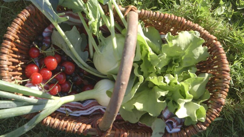 Fünf Portionen Gemüse und Obst am Tag sollen uns vor Krebs schützen. Aber stimmt das wirklich? – Bild: ZDF und Michael Kern/​Michael Kern