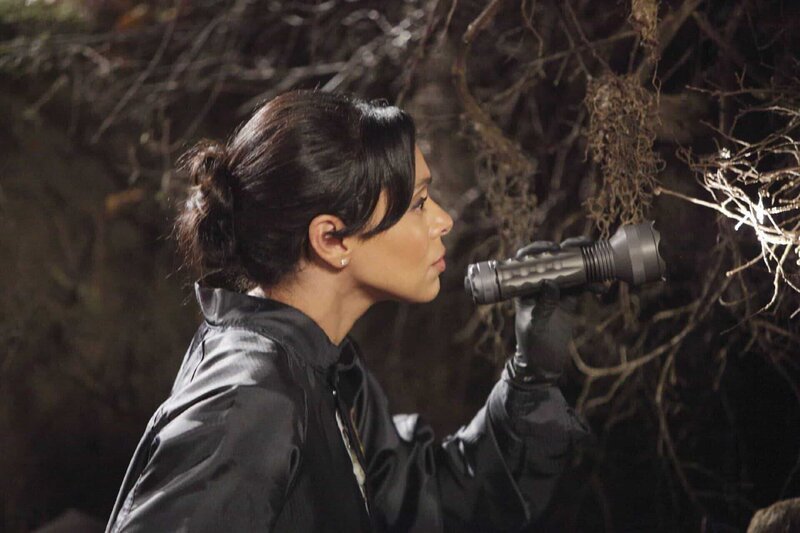 Dr. Camille „Cam“ Saroyan (Tamara Taylor) untersucht den Fundort einer Leiche, die bereits seit längerer Zeit unter den Wurzeln eines umgefallenen Baumstammes gelegen haben muss. – Bild: RTL /​ FOX /​ Die Bones-Identität