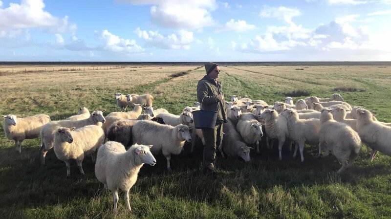 Jürgen Wolf-Diedrichsen hält seit 20 Jahren Schafe. Jedes seiner Tiere ist ihm ans Herz gewachsen. – Bild: NDR/​Doclights GmbH 2020