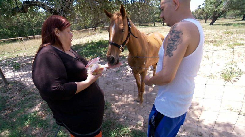 Laura and Joey feeds their pet horse. – Bild: TLC /​ Discovery Communications