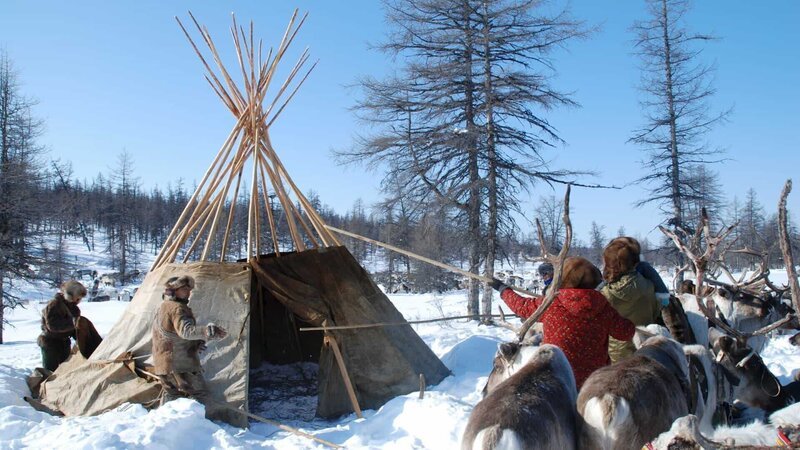 Mitglieder des Volksstammes der Ewenken beim Aufbau eines traditionellen Nomadenzeltes. – Bild: ZDF und BBC/​C Colville/​ F Cushley/​BBC/​C Colville/​ F Cushley