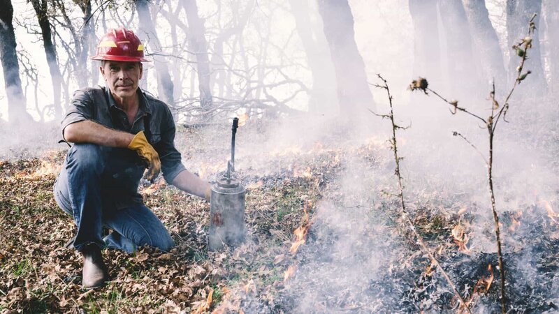 Feuer mit Feuer bekämpfen: Dirk Steffens zeigt, wie mit absichtlich gelegten Feuern verheerende Wildfeuer verhindert werden können. – Bild: ZDF und Oliver Roetz./​Oliver Roetz