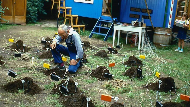 Mit einer besonderen Alarmanlage möchte Peter Lustig den Maulwurf in seinem Garten fangen. – Bild: ZDF und studio tv.