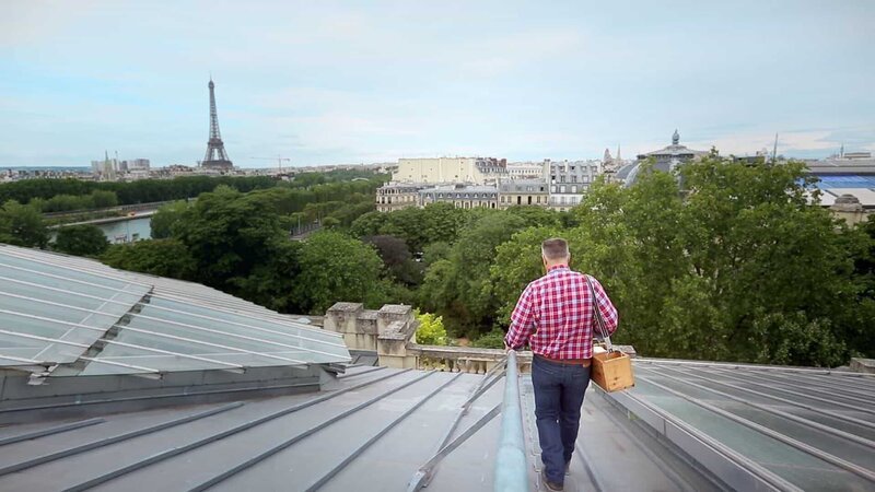 Auf dem berühmten Glasdach des Pariser Grand Palais hat ein Imker Bienenstöcke aufgestellt. – Bild: Gedeon Programmes