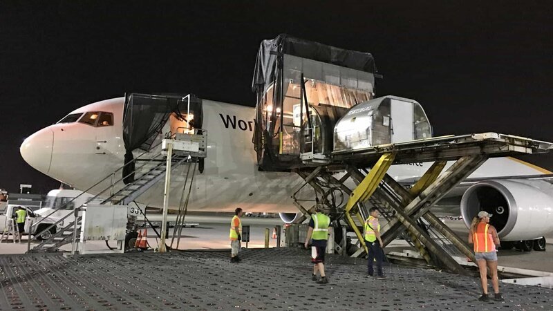 Mehrere Supervisor sind nachts im Dienst, um das schnellstmögliche Be- und Entladen der Frachtflugzeuge zu koordinieren. – Bild: WELT
