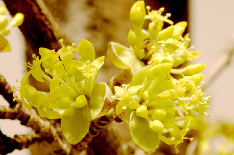 Menschen im Karst - Leben zwischen Himmel und Hölle – Bild: ORF/​Power of