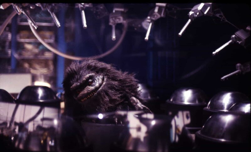 Critter – Bild: Courtesy of Warner Brothers
