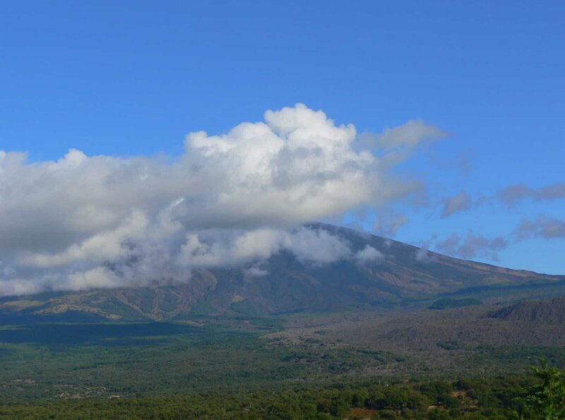 Pistazien - Siziliens grüne Diamanten – Bild: ZDF und SR/​Julia Leiendecker