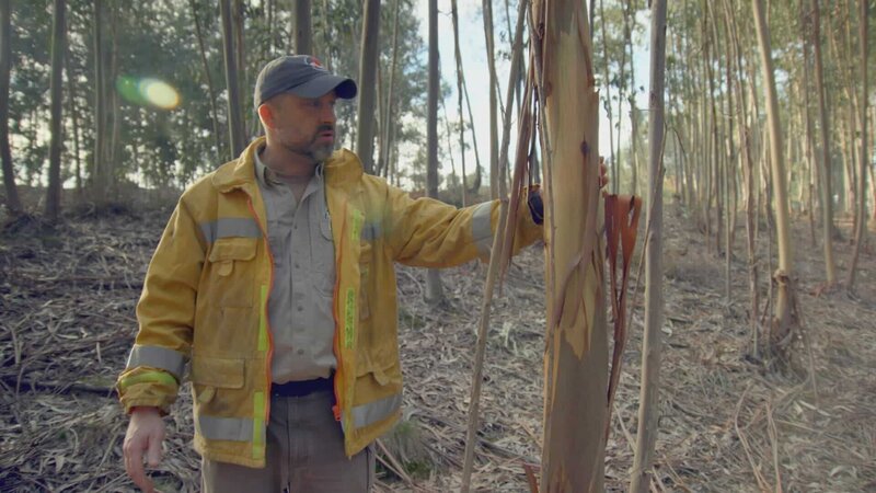 Im Angesicht Der Katastrophe S01E04: Inferno In Portugal (Portugal’s ...