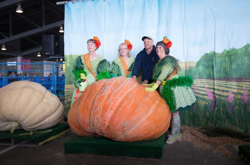 Gemüseanbauer Champion Dale Marshall mit seinem Riesenkürbis und den Kürbisfeen auf der Alaska State Fair, in Palmer. – Bild: phoenix/​ZDF/​BBC