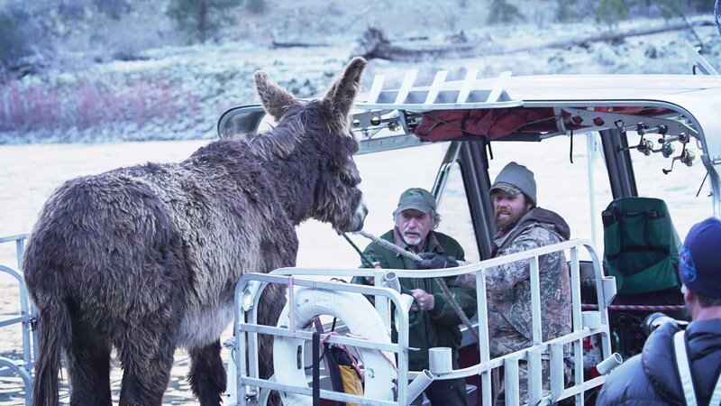 Wes Gregory and Heinz Sippel working to pull Junior the donkey on to the boat. – Bild: Warner Bros. Discovery