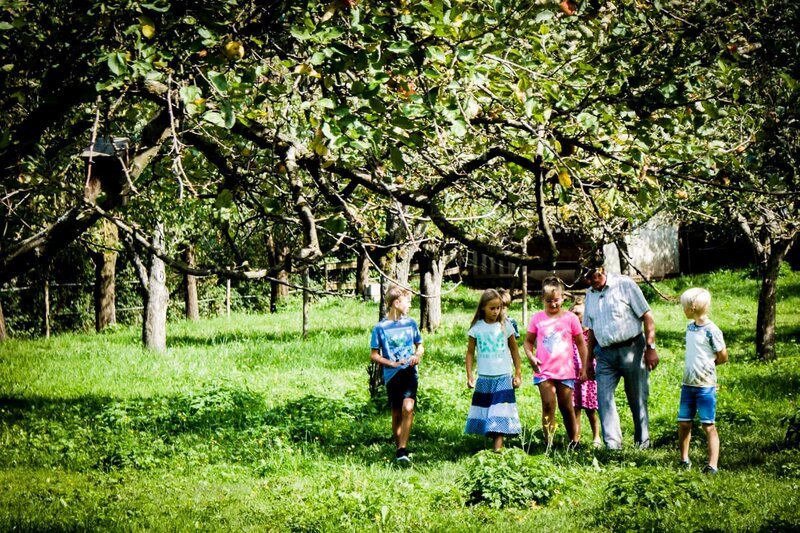 Die Nachbarkinder helfen Alois Berger beim Äpfelklauben im Garten. – Bild: ServusTV /​ DEGNfilm