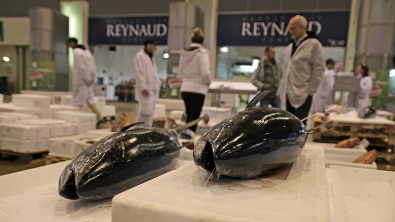 94.000 Tonnen Fisch werden jedes Jahr auf dem Pariser Großmarkt gehandelt. – Bild: N24 Doku