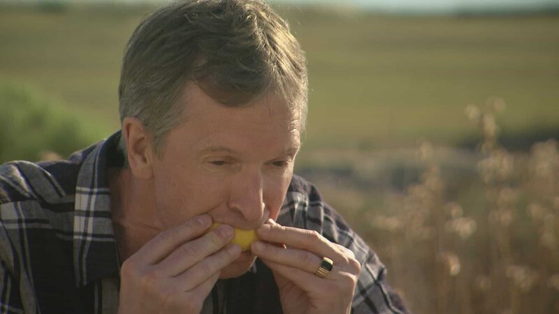 Prof. Donald Hoffman, cognitive scientist at University of California-Irvine, bites into a lemon but gets a sweet, not sour, taste due to a miracle berry he ate beforehand, a berry that shifts perceptions of taste. – Bild: ZDF und Rob Beemer/​Rob Beemer