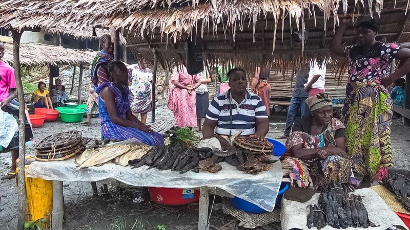Schuppentiere sind auf dem Markt am Kongo-Fluss nicht wegen ihrer Schuppen begehrt, sondern wegen ihres Fleisches. – Bild: ZDF und © YEMAYA productions./​© YEMAYA productions