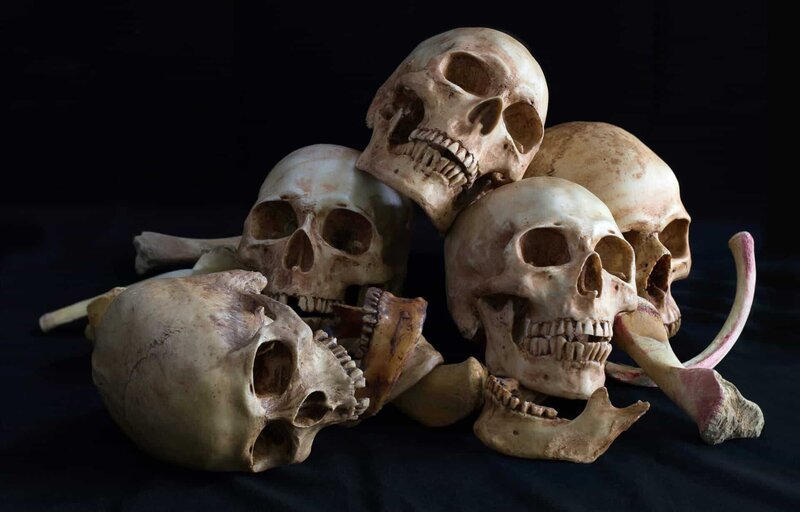 Awesome pile of skull and bone on black cloth background – Bild: Shutterstock /​ Shutterstock /​ Copyright (c) 2016 tatui suwat/​Shutterstock. No use without permission.