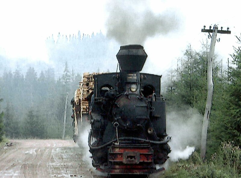 Anfang der 90er Jahre gab es in Rumänien noch die funktionstüchtige Karpatenbahn. Fast 5.000 km Gleise hatten österreichische und ungarische Ingenieure bis 1918 in den Urwäldern der Karpaten verlegt um das Gold der Karpaten, aus den Bergen ins Tal zu bringen. Ende der 90er Jahre gab es noch drei Strecken, die in Betrieb waren: die Bahnen in Orastie, ein Lokomotivfriedhof, in dem eine alte Resitadampflok Tag für Tag den Rangierbetrieb zwischen dem Sägewerk und der nationalen Bahnstrecke übernimmt, die Linie vom Hochtal Commandau nach Covasna, die im Oktober 99 eingestellt wurde und ganz im Norden, nahe der ukrainischen Grenze, die Waldbahn von Viseu de sus, die einzige Verbindung vom Tal zu den hochgelegenen Walddörfern. – Bild: BR, SWR /​ BR/​SWR