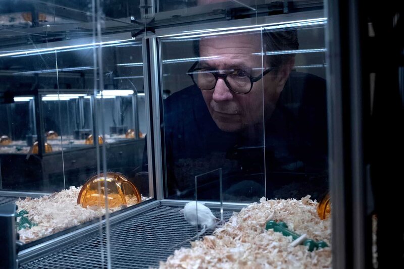 Crisis – Bild: ZDF und Philippe Bosse.