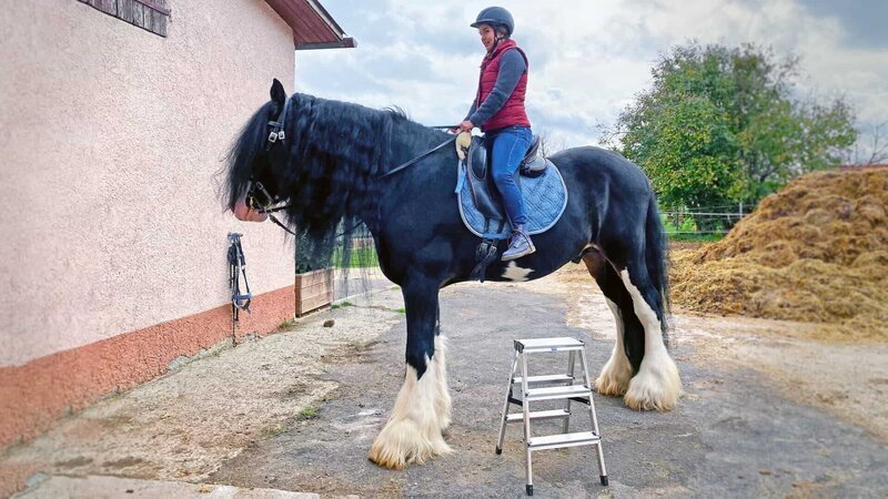 Um auf den Rücken von Shire Horse Ivan zu kommen, braucht Anna sogar eine Leiter. – Bild: BR/​BILD+TEXT Medienproduktion GmbH & Co. KG/​Katharina Brackmann