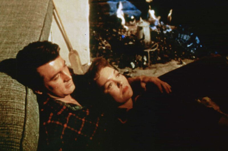 Was der Himmel erlaubt – Bild: 1955 Universal Pictures Company, Inc. (renewed 1983 Universal City Studios, Inc.)/​All rights reserved /​ © 1955 Universal Pictures Company, Inc. (renewed 1983 Universal City Studios, Inc.)/​All rights reserved