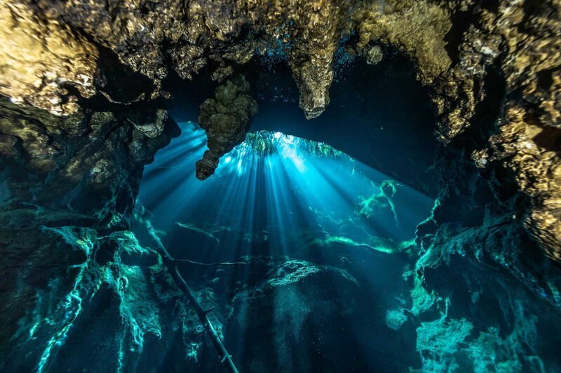 Am Eingang des Blue Holes „Sawmill Sink“ (Bahamas) fällt noch Tageslicht in die Unterwasserhöhle. – Bild: ZDF und Robert Marc Lehmann