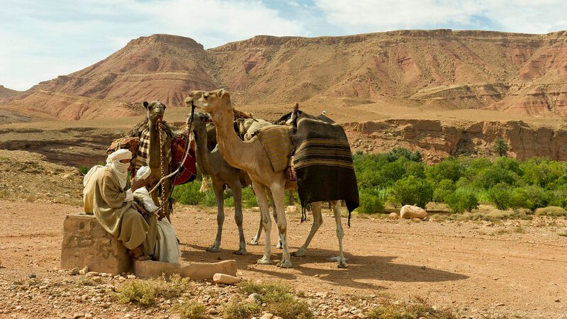 Das nordafrikanische Nomadenvolk der Tuareg lebte trotz extremer klimatischer Bedingungen in der Sahara. – Bild: BILD