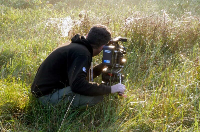 Die Wiese – Bild: BR /​ © nautilusfilm