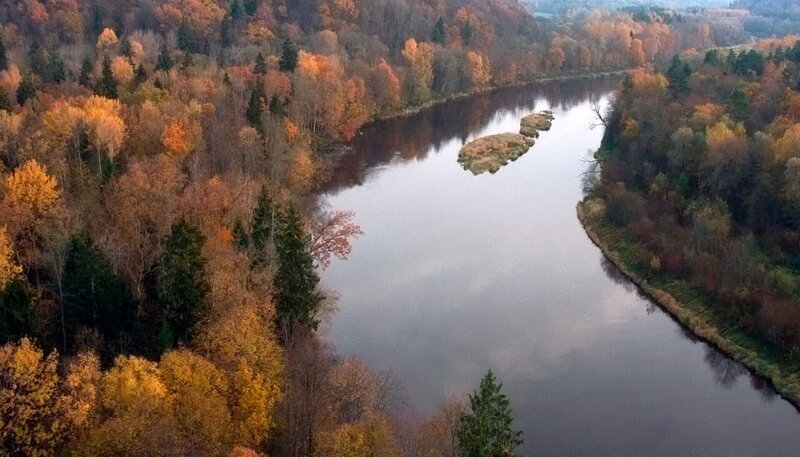 Die weiten Mischwälder des Baltikums bieten im Herbst ein fantastisches Farbenspiel. – Bild: NDR/​Christoph Hauschild