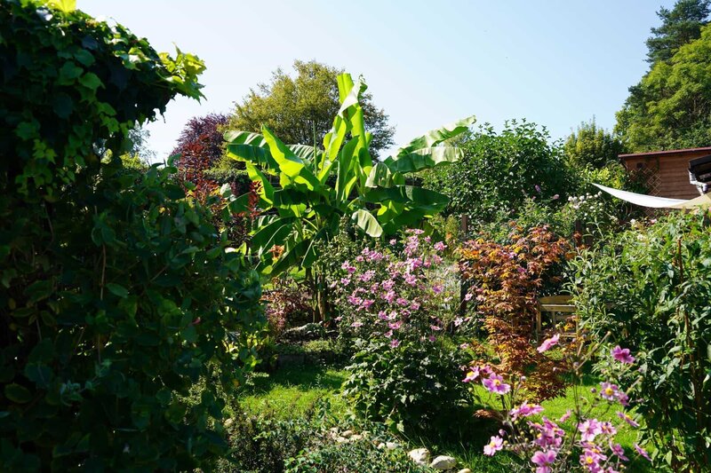 Natur im Garten (2006) S27E06 Folge 6 fernsehserien.de