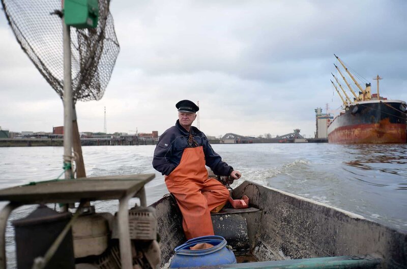 Fischer Otto Scheel fischt in den Gewässern rund um Hamburg Zander, der frisch auf dem Isemarkt verkauft wird. – Bild: Beatrice Krol /​ Fischer Otto Scheel fischt in den Gewässern rund um Hamburg Zander, der frisch auf dem Isemarkt verkauft wird.