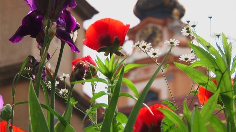 . – Bild: Bibel TV