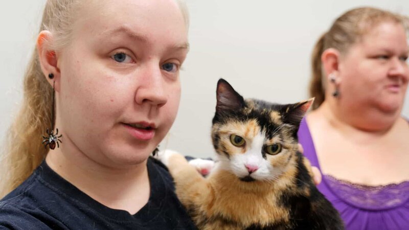 Princess, a calico cat, is brought in for a pregnancy check by Sharon and Jasmine. – Bild: Animal Planet /​ PhotoBank 36972_ep408_001 /​ Discovery Communications, LLC