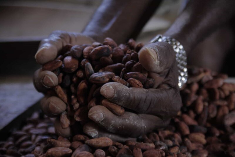 Er macht dem Namen „Theobroma Cacao“, der „Speise der Götter“ alle Ehre: Cakao Nacional aus Ecuador. – Bild: BonGusto