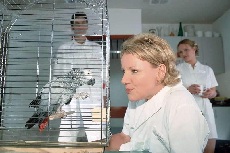 Nikola (Mariele Millowitsch) ist ein Papagei zugeflogen, der ganz schön gelehrig ist. Da der Papagei sie allerdings nach einer gewissen Zeit nervt, beschließt sie ihn an Dr. Schmidt weiterzugeben. – Bild: RTLplus