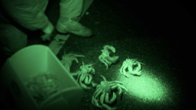 In the middle of the night, the experienced nature protection police officer caught three illegal shrimp fishermen. – Bild: Warner Bros. Discovery
