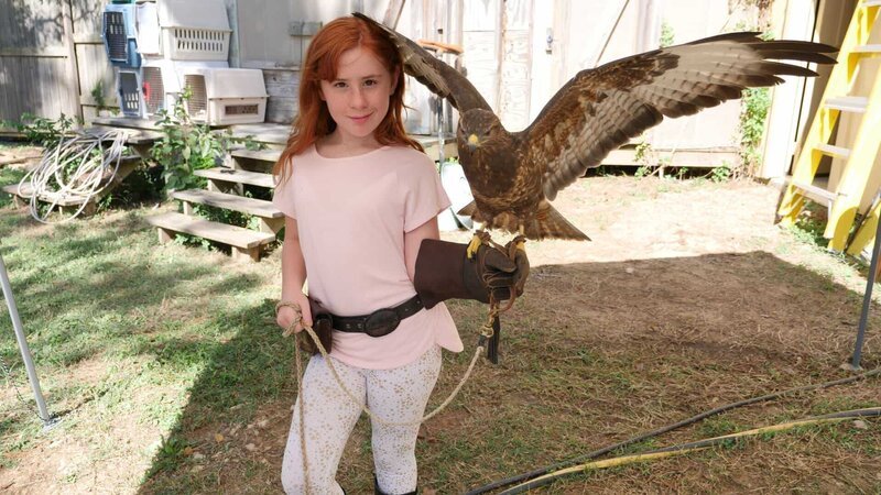 Piper, the daughter of Wild Skies Live directors Shannon and Rob, holds a bird as it flutters its wings. – Bild: Animal Planet /​ Photobank;36972_ep405_002.jpg /​ Discovery Communications, LLC